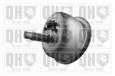QUINTON HAZELL em4143 -  Подвеска, двигатель